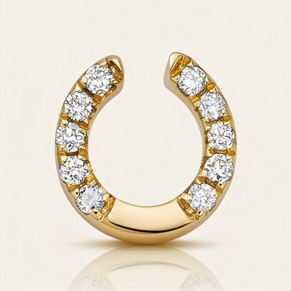 HORSESHOE